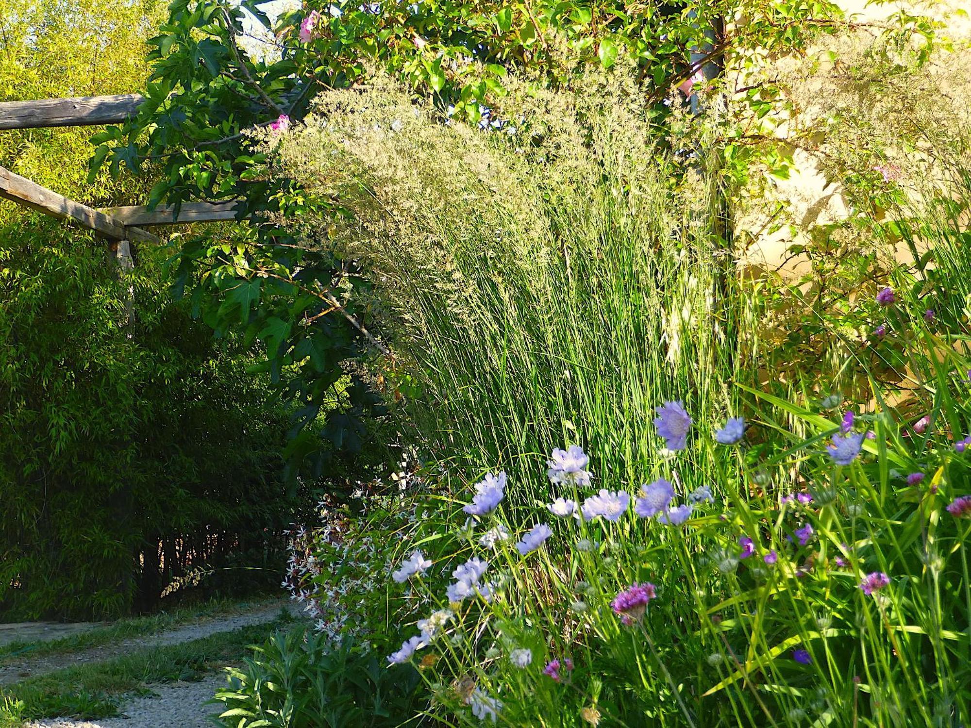 Podere Di Maggio - Glamping Tent 2 Santa Fiora Exterior foto