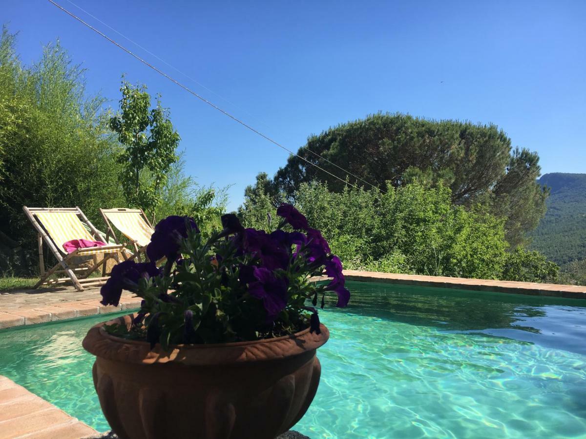 Podere Di Maggio - Glamping Tent 2 Santa Fiora Exterior foto