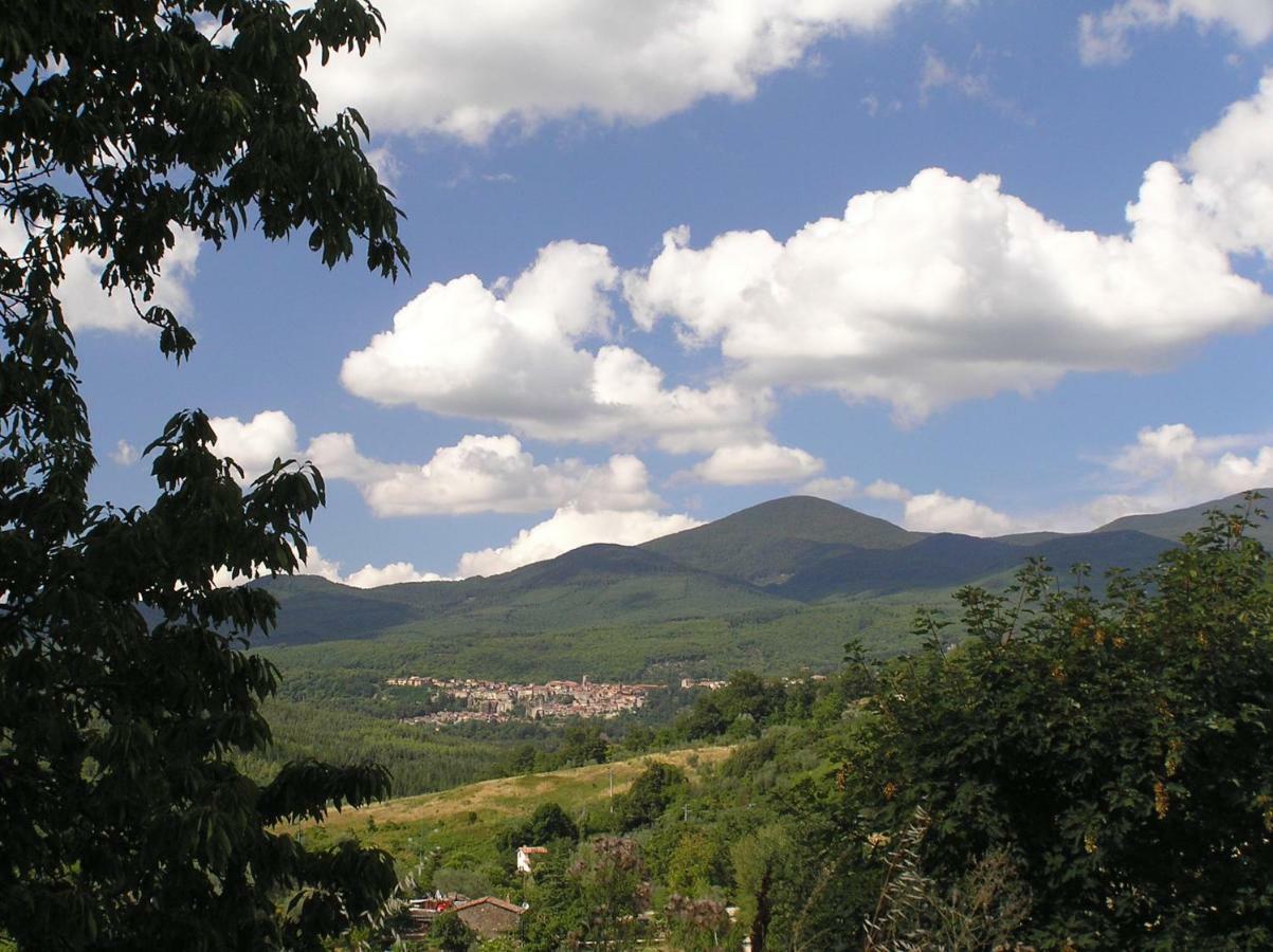 Podere Di Maggio - Glamping Tent 2 Santa Fiora Exterior foto